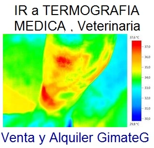  termografia medica fisioterapia y veterinaria testo flir GimateG